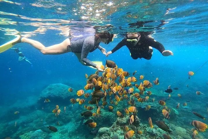 Sharing Snorkeling Manta Point + West Nusa Penida One Day Trip